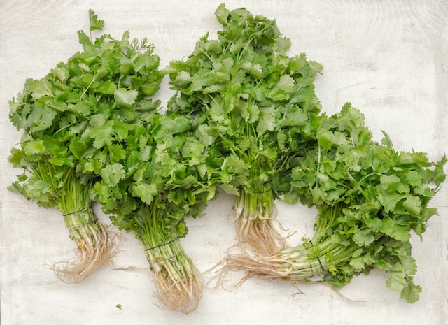 Coriander vs. Cilantro: Unveiling the Differences and Similarities