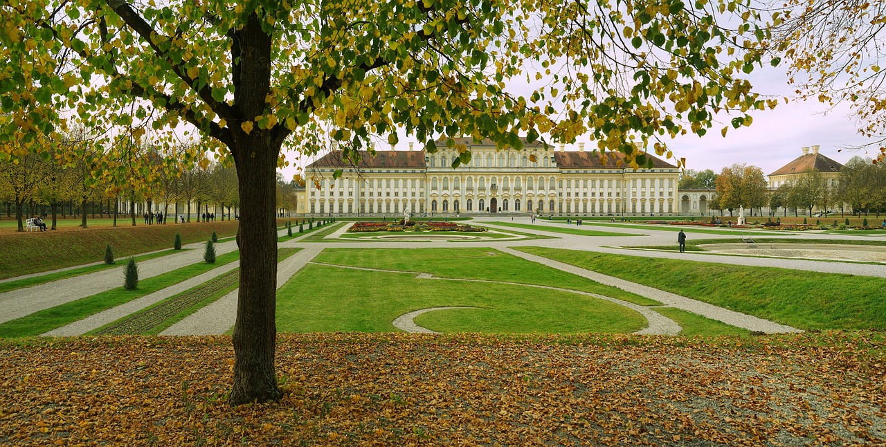 Creative Ways to Incorporate Trees into Urban Spaces